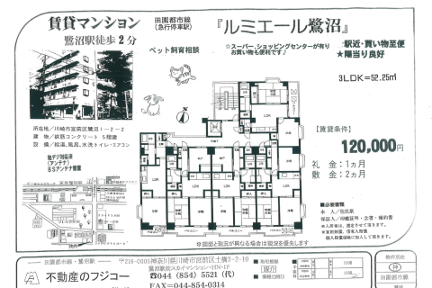 ルミエール鷺沼（賃貸マンション）